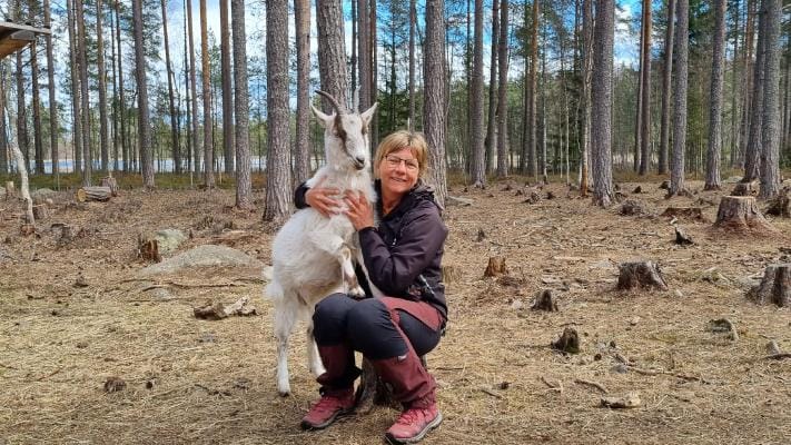 Familjevandring i världsarvsskogen